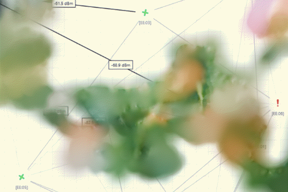 Cailean Finn: The Garden